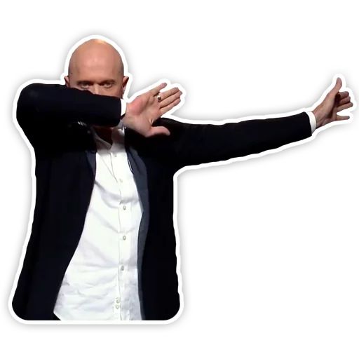 DruzhkoSHOW sticker 17