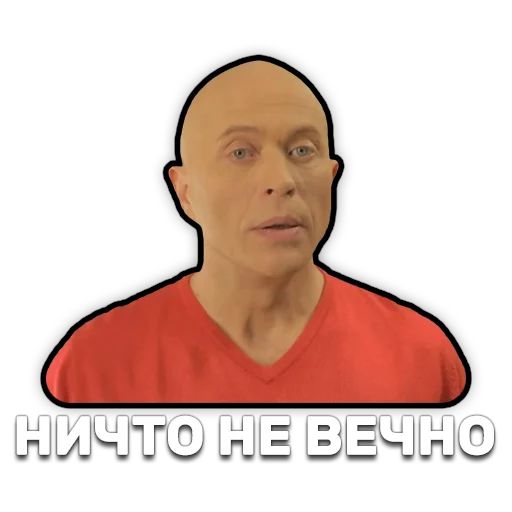 DruzhkoSHOW sticker 18