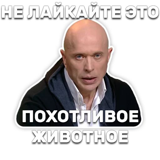 DruzhkoSHOW sticker 22