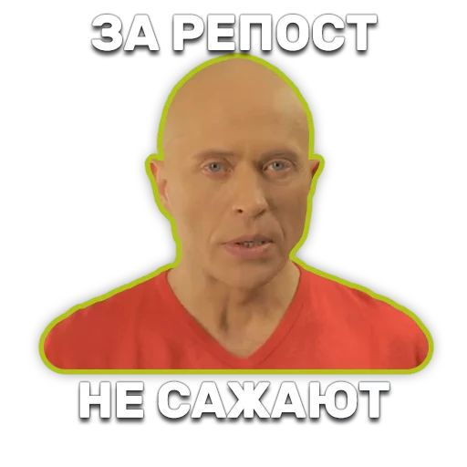 DruzhkoSHOW sticker 26