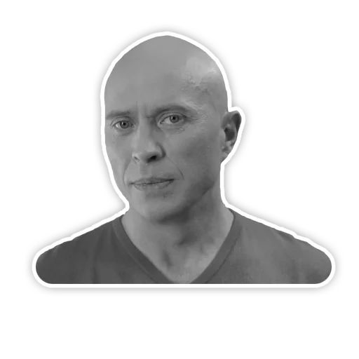 DruzhkoSHOW sticker 27