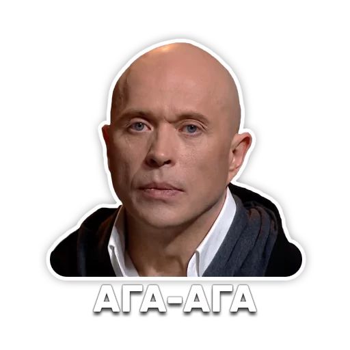 DruzhkoSHOW sticker 30