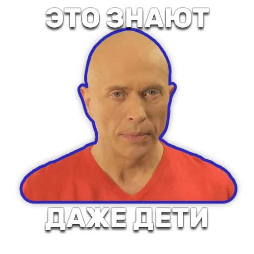 DruzhkoSHOW sticker 32