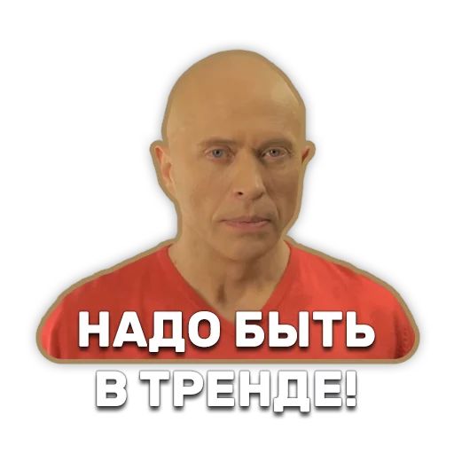 DruzhkoSHOW sticker 34