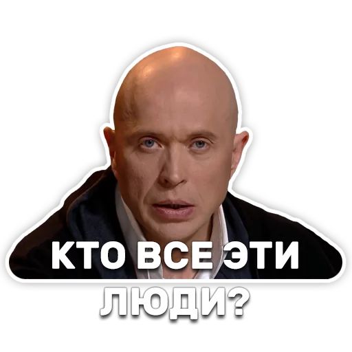 DruzhkoSHOW sticker 35