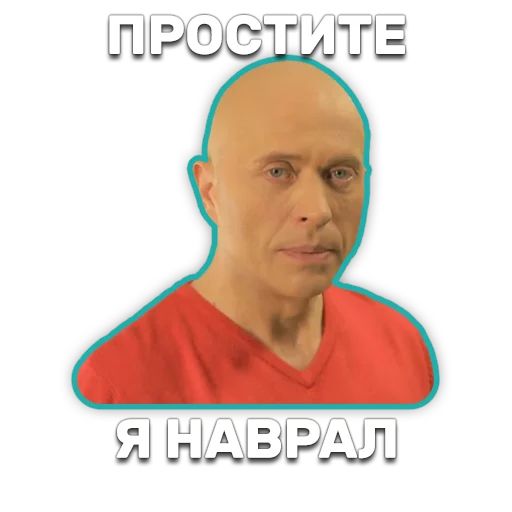 DruzhkoSHOW sticker 40