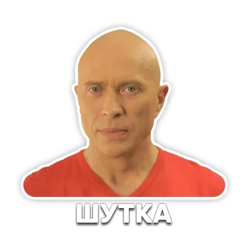 DruzhkoSHOW sticker 41