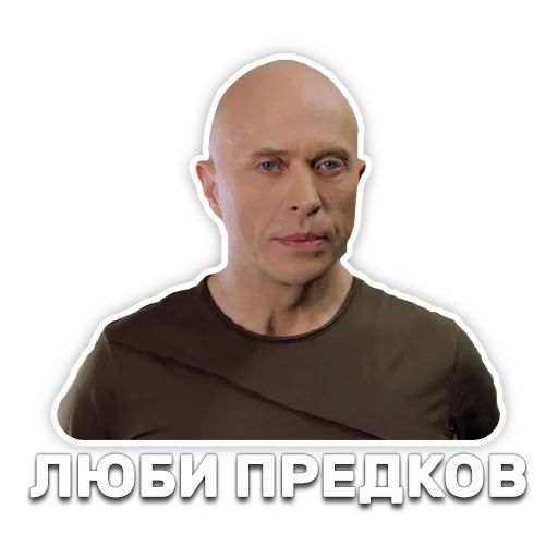 DruzhkoSHOW sticker 45