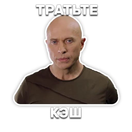 DruzhkoSHOW sticker 47