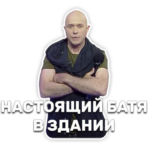 DruzhkoSHOW sticker 57