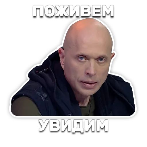 DruzhkoSHOW sticker 65