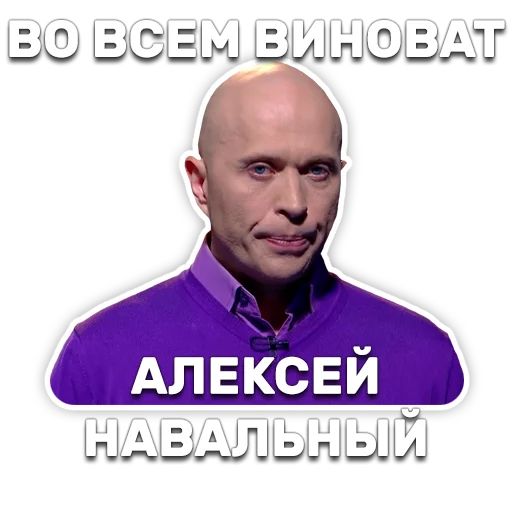 DruzhkoSHOW sticker 8