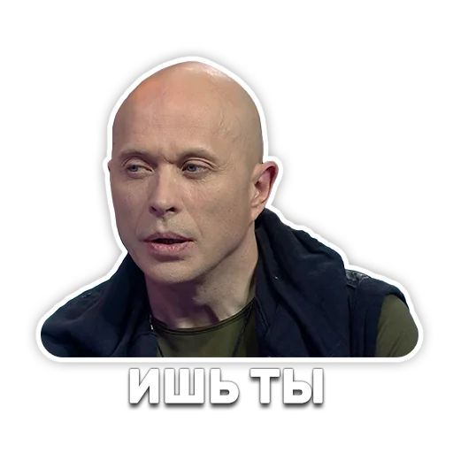 DruzhkoSHOW sticker 72