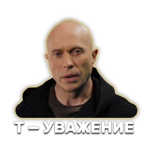 DruzhkoSHOW sticker 73