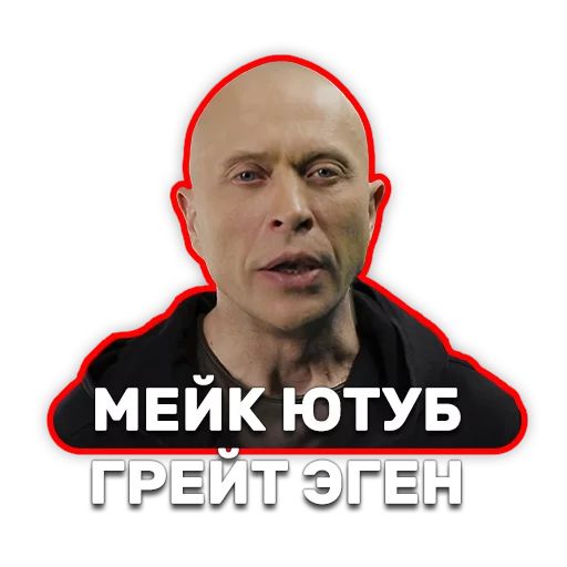 DruzhkoSHOW sticker 75