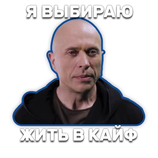 DruzhkoSHOW sticker 79