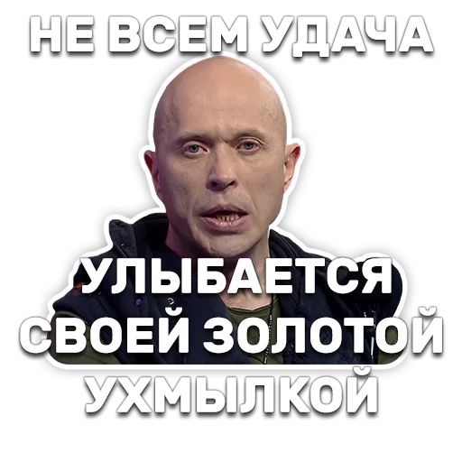 DruzhkoSHOW sticker 80