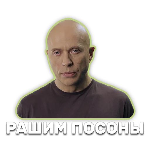 DruzhkoSHOW sticker 86