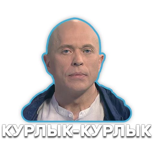 DruzhkoSHOW sticker 89