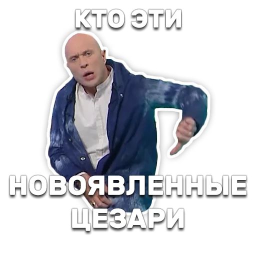 DruzhkoSHOW sticker 92