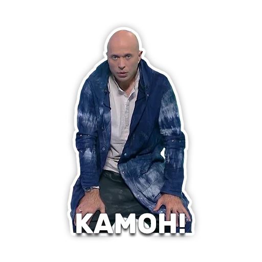 DruzhkoSHOW sticker 93