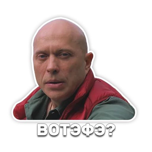 DruzhkoSHOW sticker 99