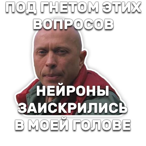 DruzhkoSHOW sticker 100