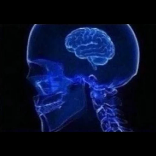 expanding brain Telegram sticker pack