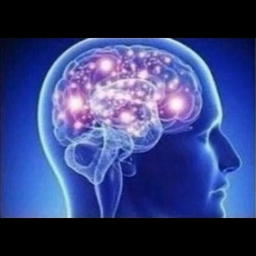 expanding brain sticker 2