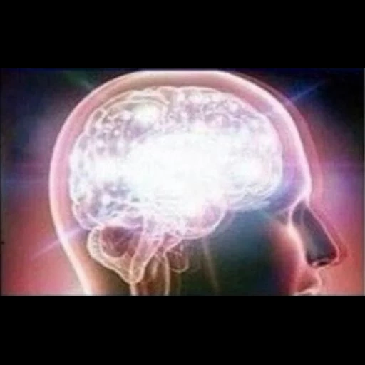 expanding brain sticker 4