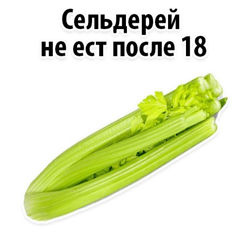 Шутки про сельдерей. Шутки про сельдерей. Сельдерей прикольные картинки. Шутки про сельдерей. А вы знали что сельдерей полезнее чем.
