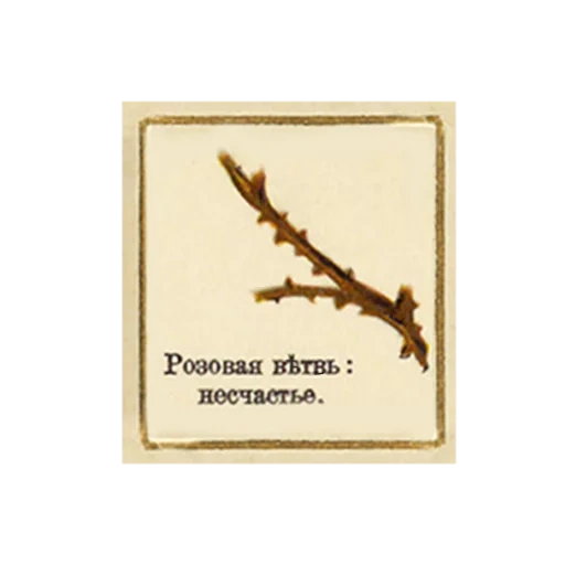 FlowerLanguageVintage sticker 11