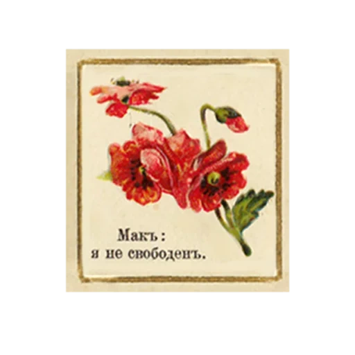 FlowerLanguageVintage sticker 15