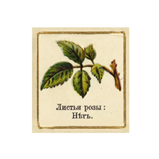 FlowerLanguageVintage sticker 16