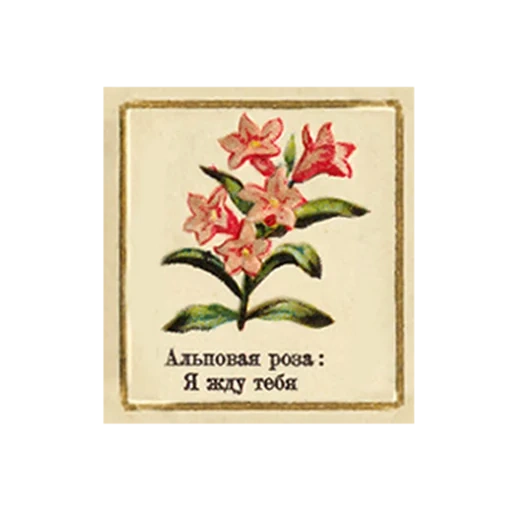 FlowerLanguageVintage sticker 5