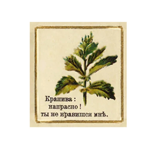 FlowerLanguageVintage sticker 6