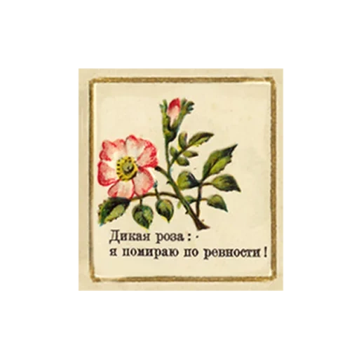 FlowerLanguageVintage sticker 9