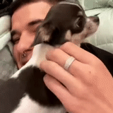 funnyobladaetsticke @funnyobladaet :: @fStikBot sticker 37