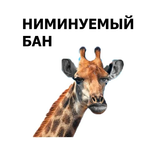 Глад Валакас by @nekokotyka sticker 22