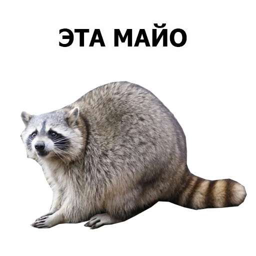 Глад Валакас by @nekokotyka sticker 10