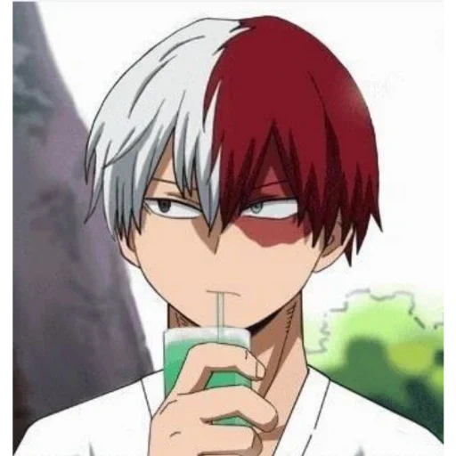 shoto sticker 2