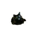 Тест1 Telegram sticker pack