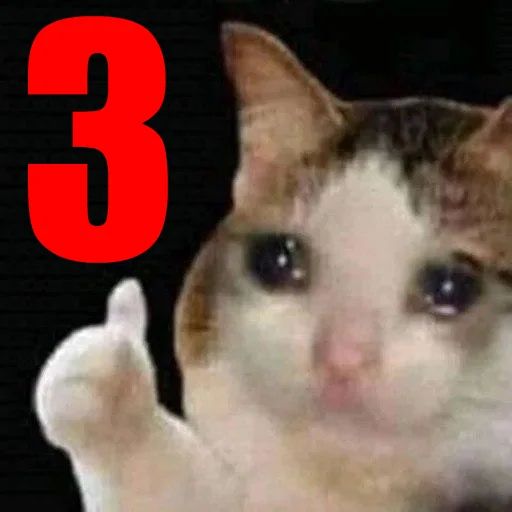 Котики бизнес Telegram sticker pack