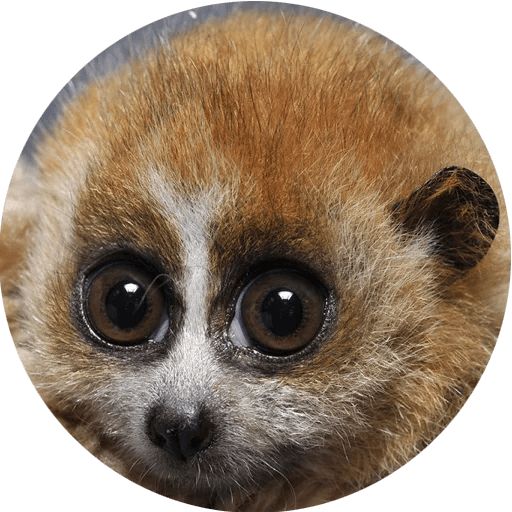 Милые лемурчики Telegram sticker pack