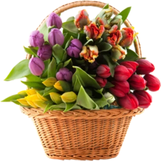 ✨ @Loveoops ✨ : Flower5 Telegram sticker pack