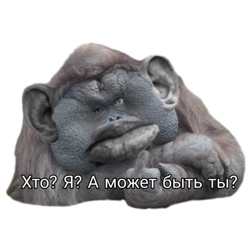 Valera Gladiator sticker 19