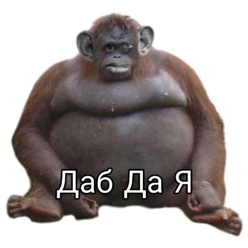 Valera Gladiator sticker 23