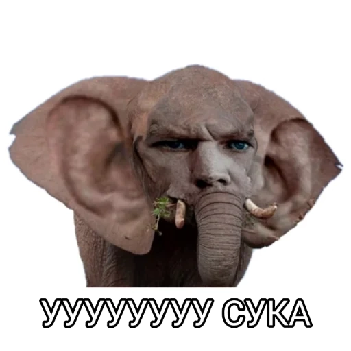 Valera Gladiator sticker 30