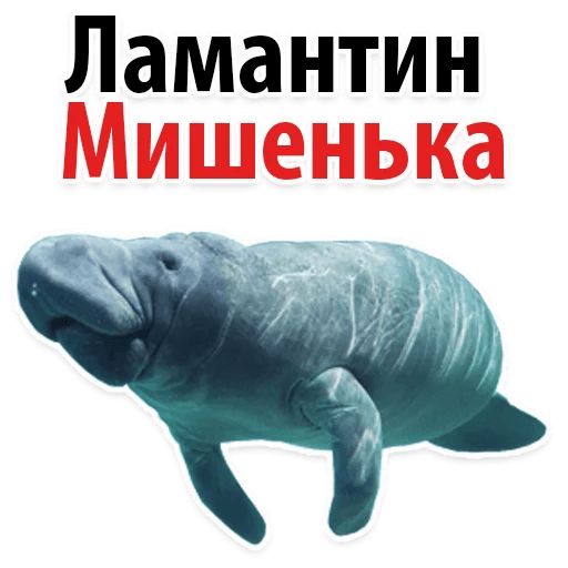 Мишенька ЛАМАНТИН @TuristasTV Telegram sticker pack