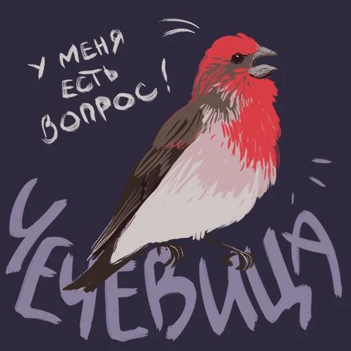 Птицы-озорницы Diana Muñoz sticker 2